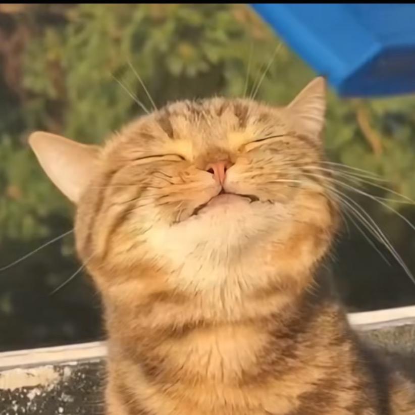 山治🍀