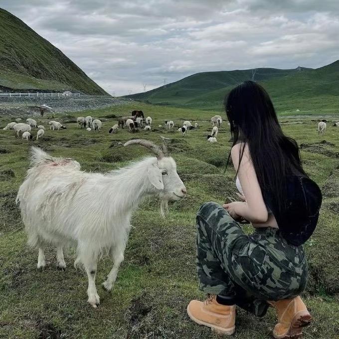 ⛰️