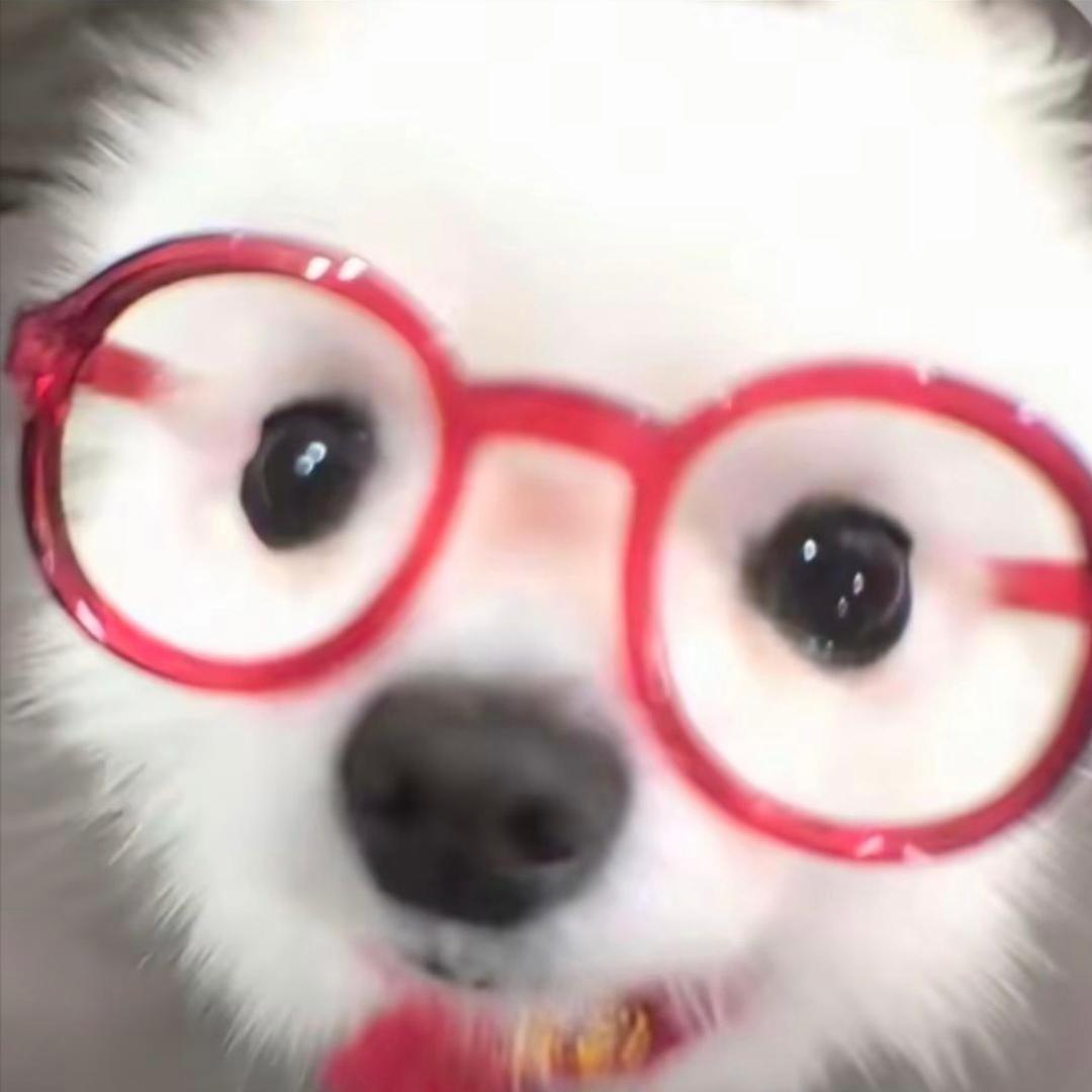 🌟🌟🌟🌟🌟🌟