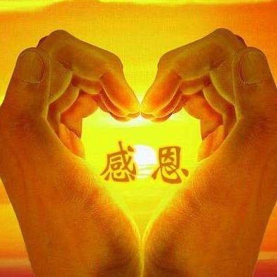 感恩221新歌《遗忘的痛》子墨
