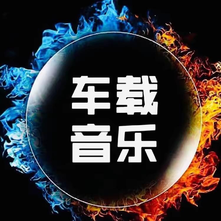 伤感音乐（🉑购U盘）