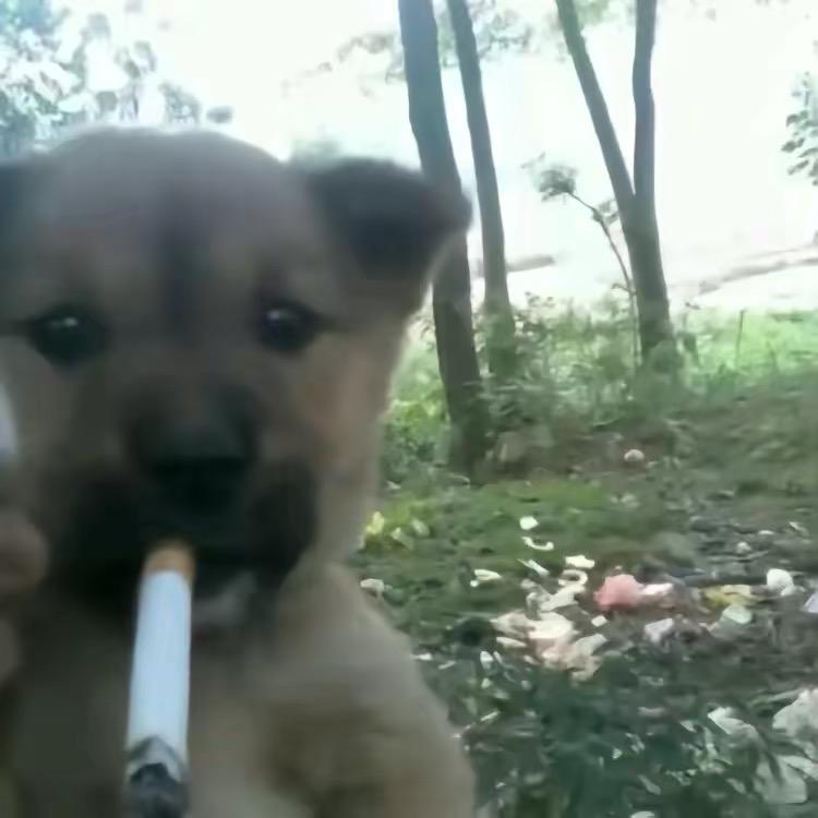 抖音刷多了吧