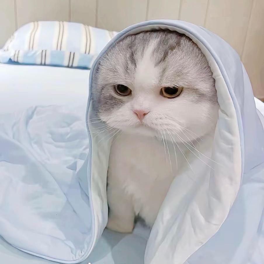 居里夫人驾驶小米su7硬怼双面龟