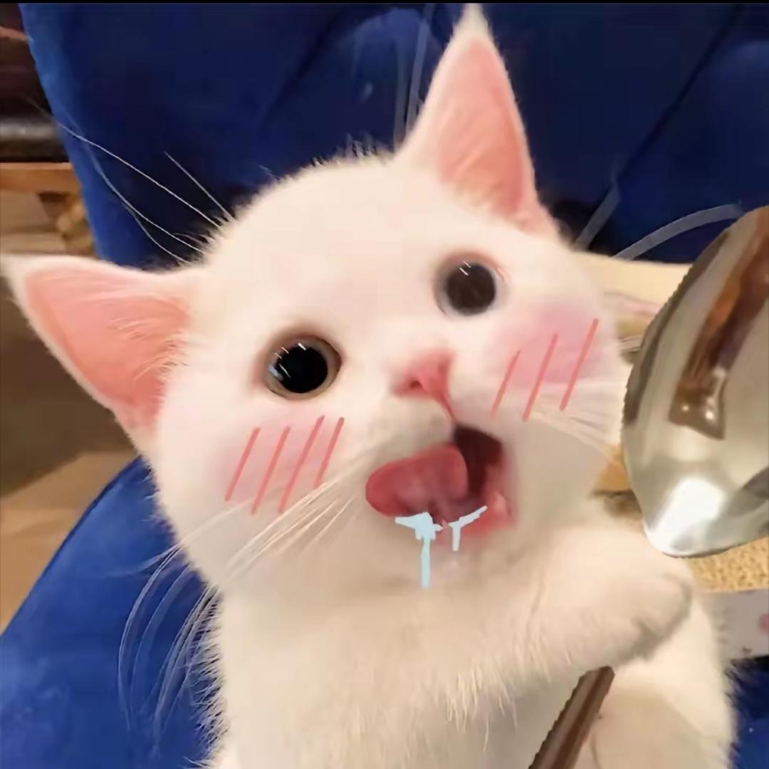 小唐御