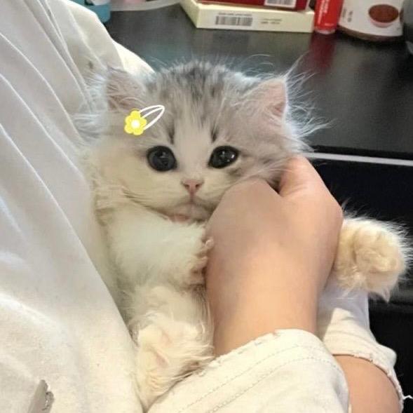 坏蛋无需搭理