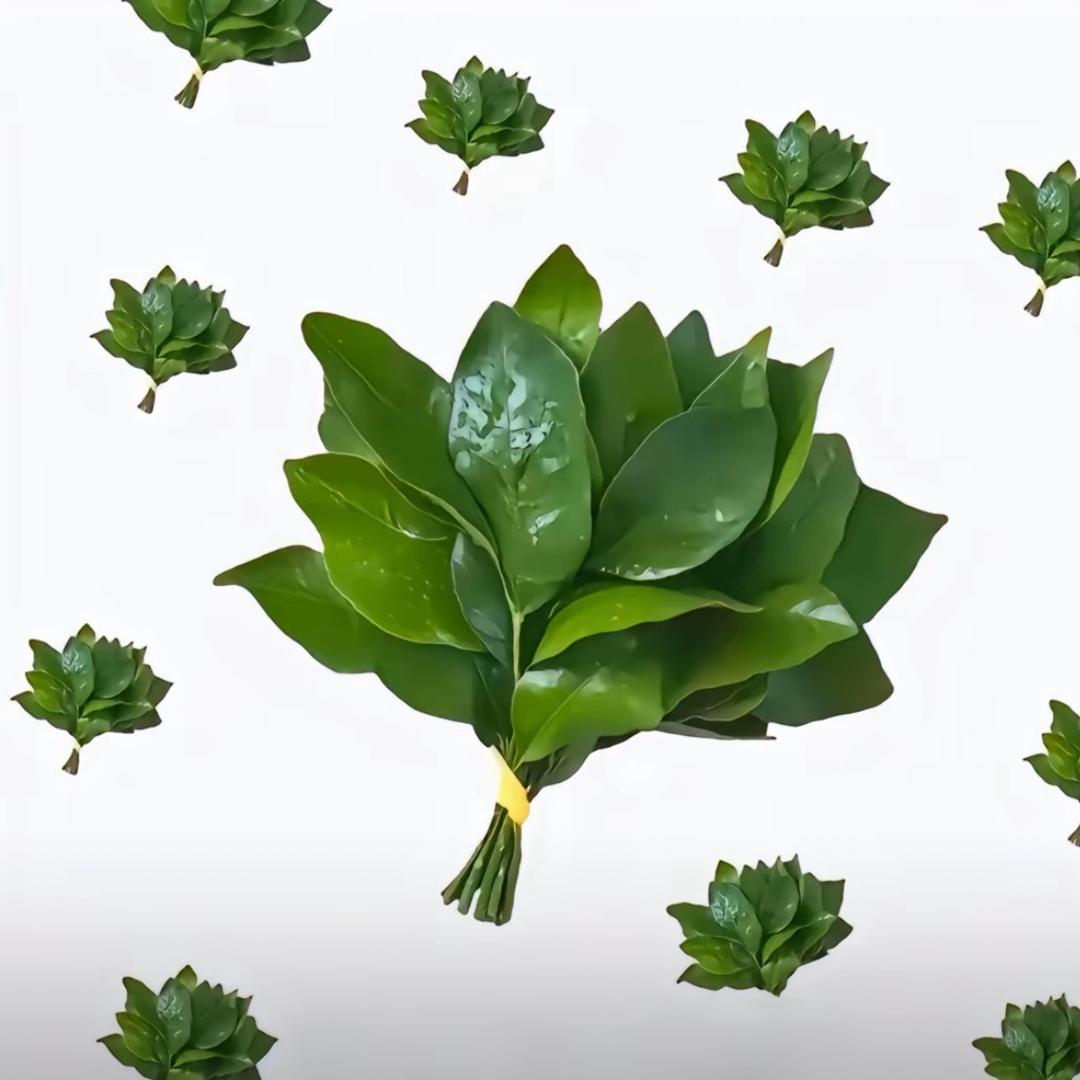 财神爷💰的小阿璐