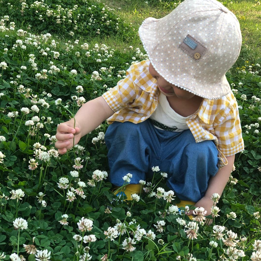就是爱芥末