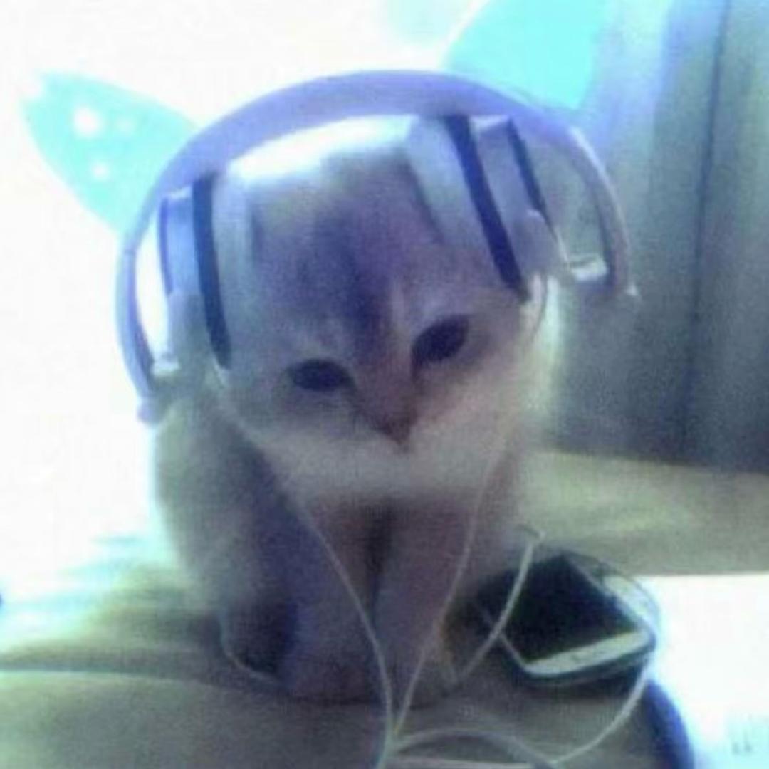 两毛钱