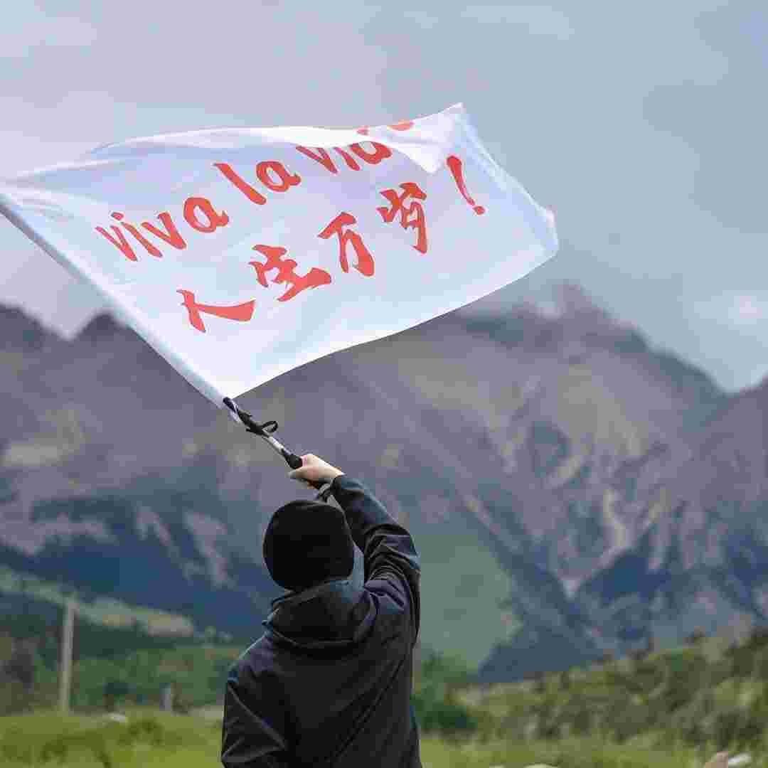 两米八五的大帅币～