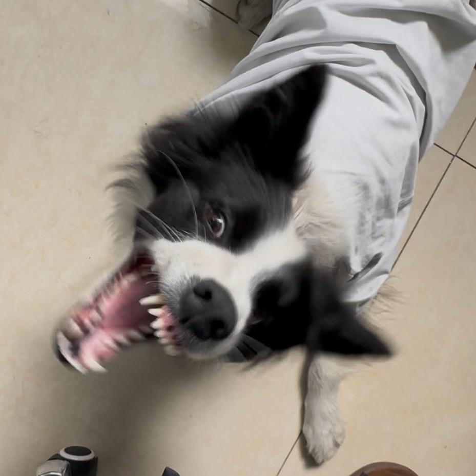 去薯条整点码头