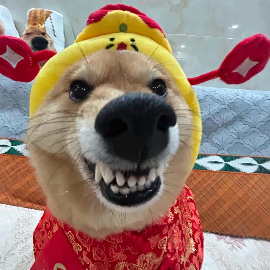 财神的心尖宠