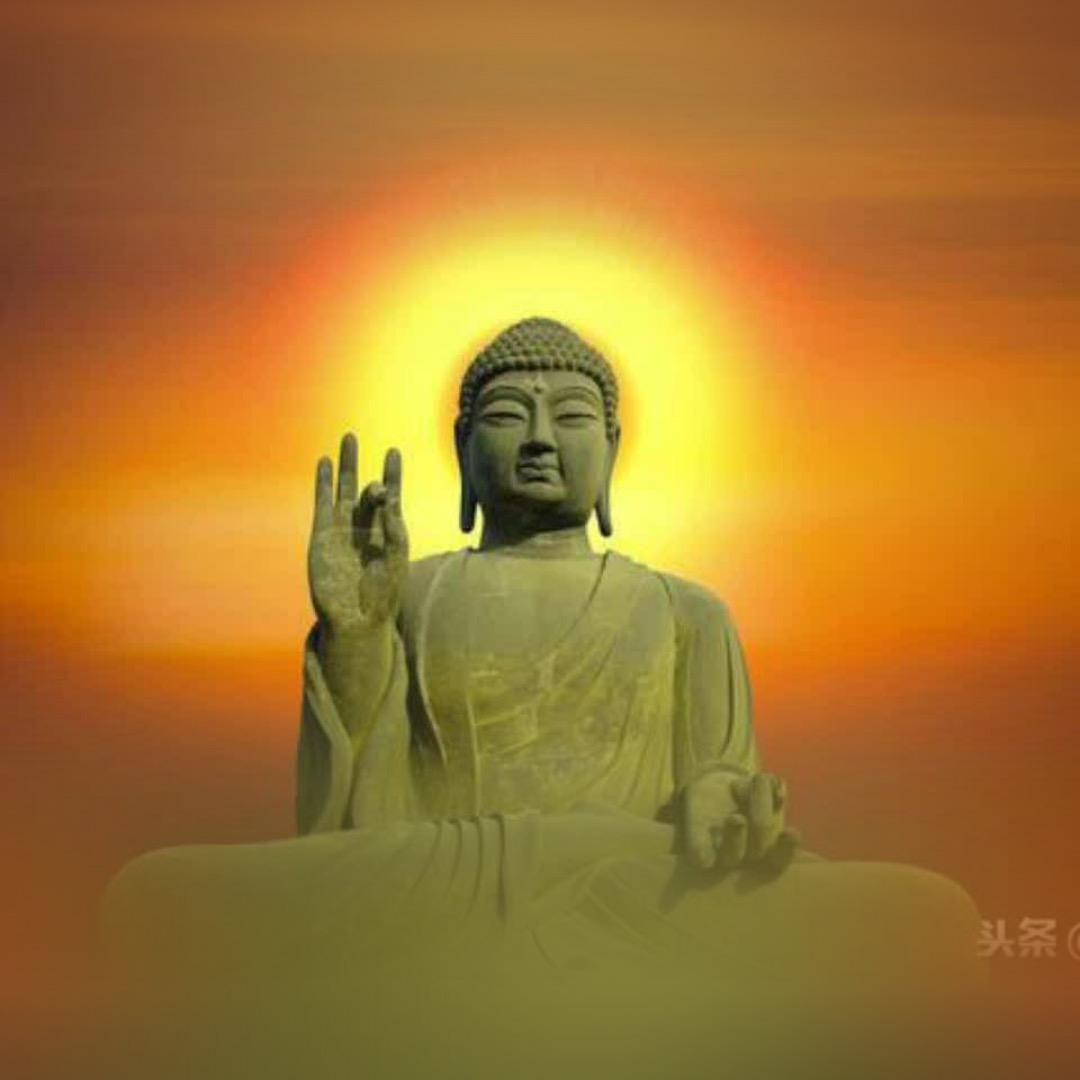 富途无量