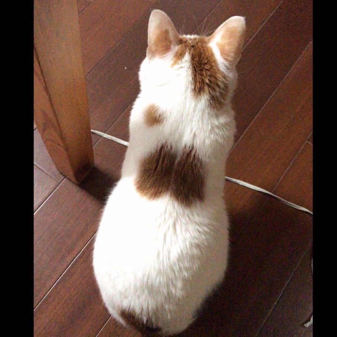 说走就走