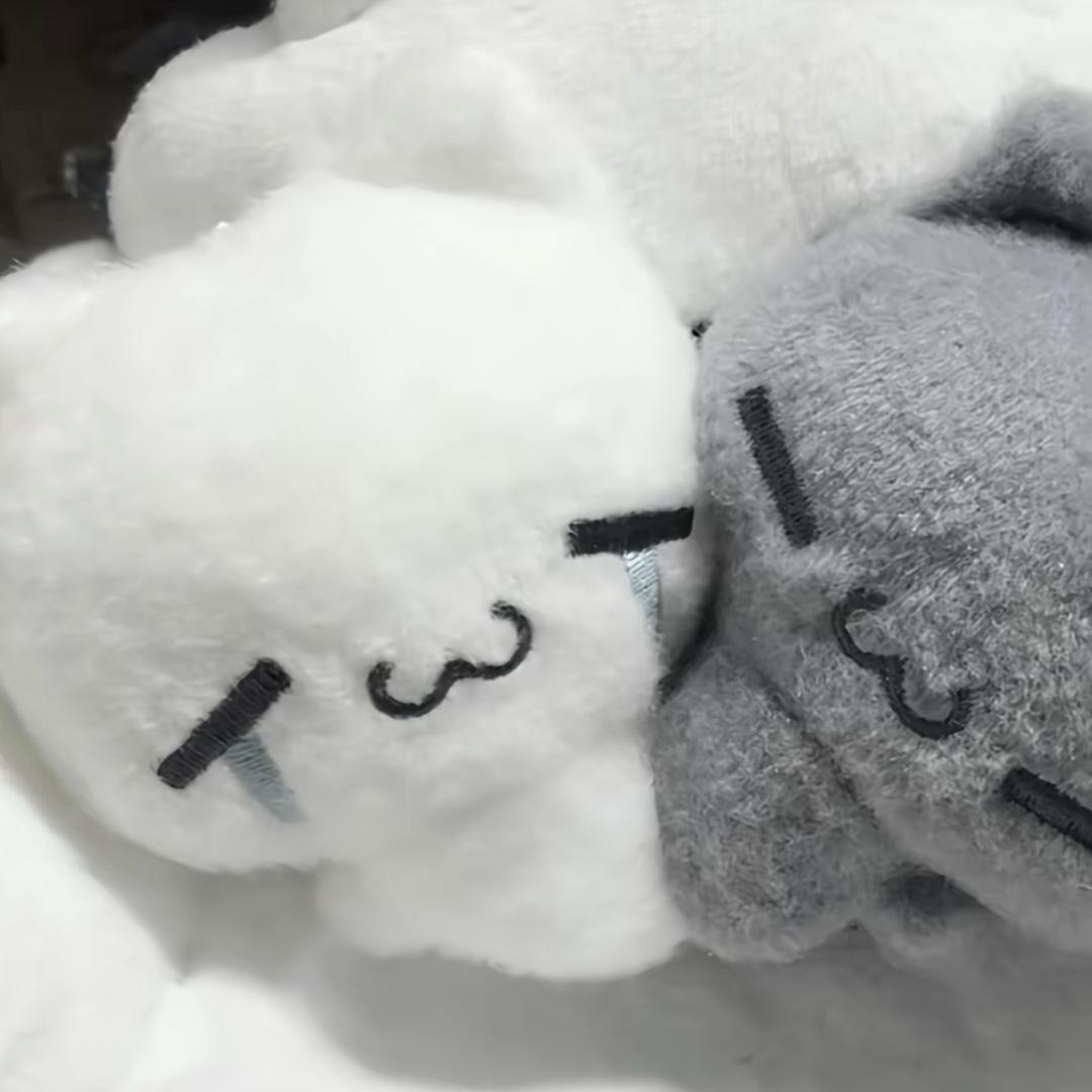 宅