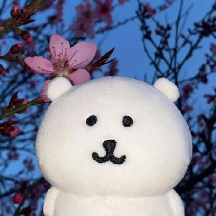 遗忘过去思念
