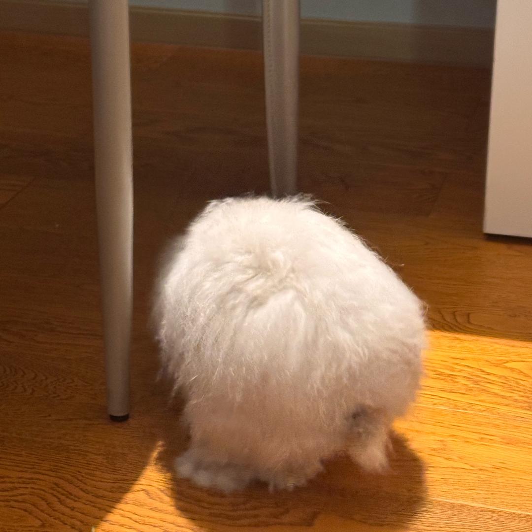 好想把你们豆沙了