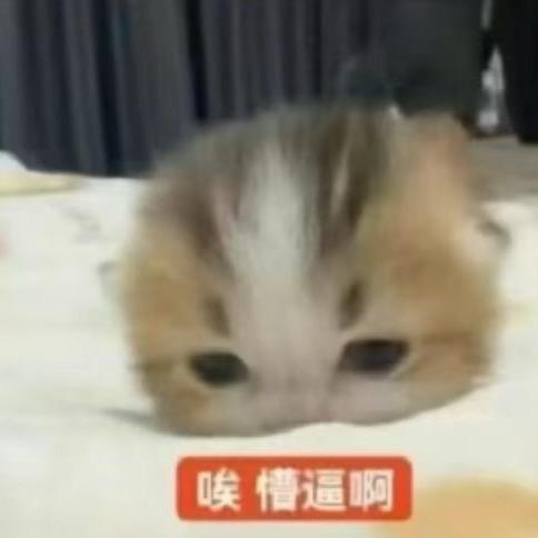 周天天