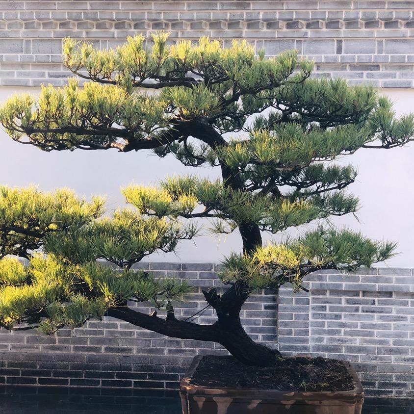 开开心心过好每一天