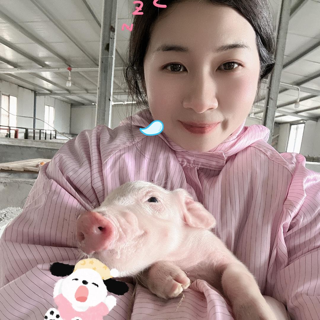 猪小方