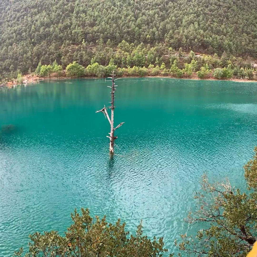 星迈（三角洲）