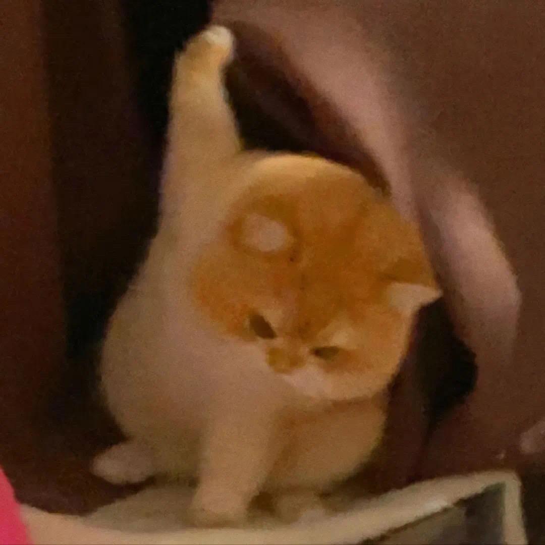 小意