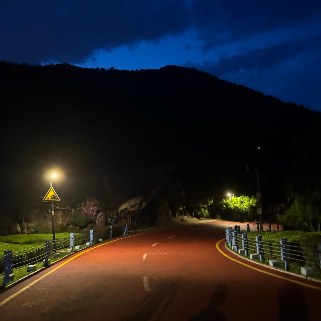 我脑子有问题🤨