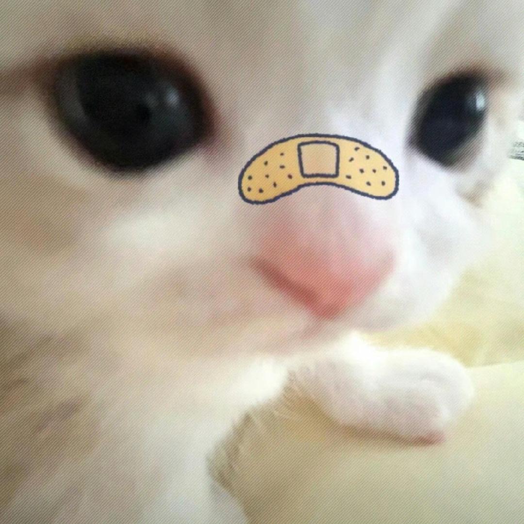 你连我的眼泪都不在乎