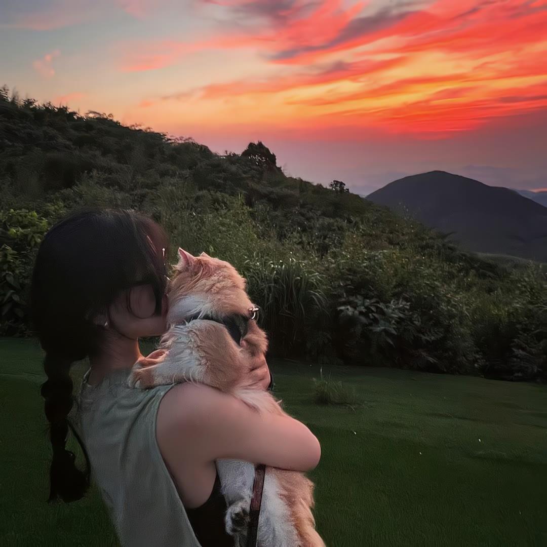 一颗榴莲