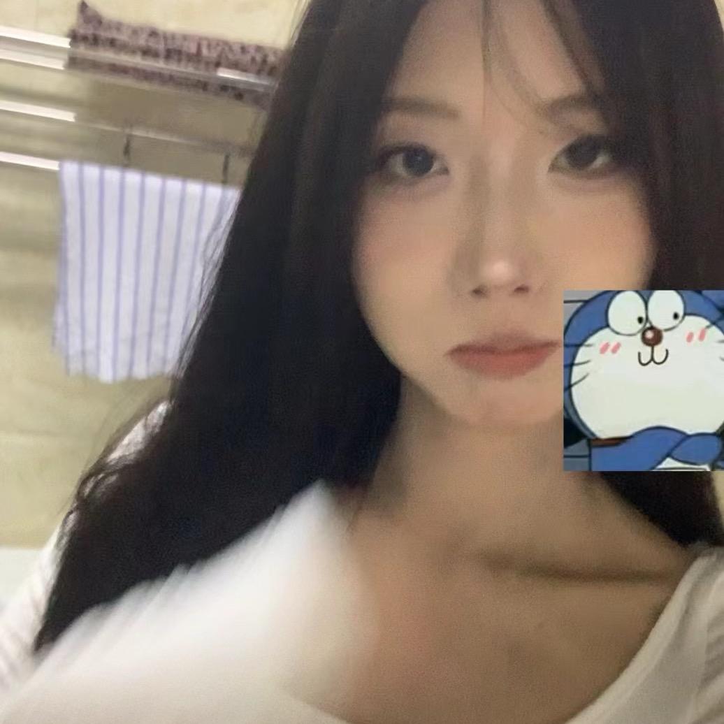 东南西北风鸭