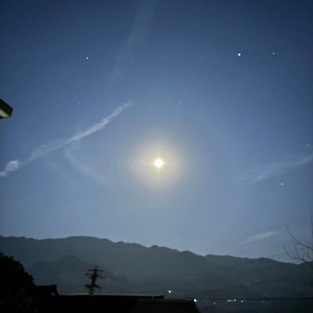 小会