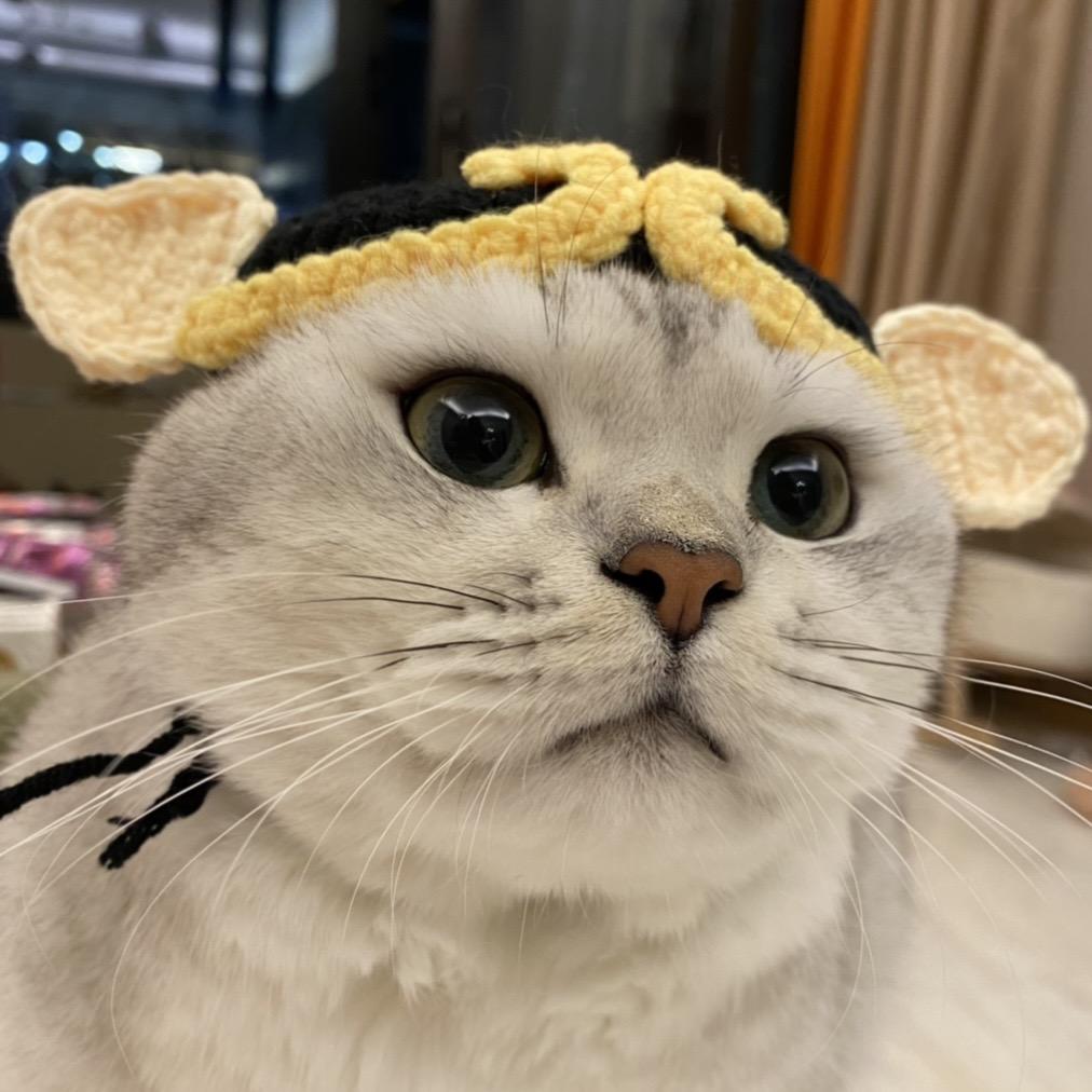 雕胖牛的百宝袋🦄