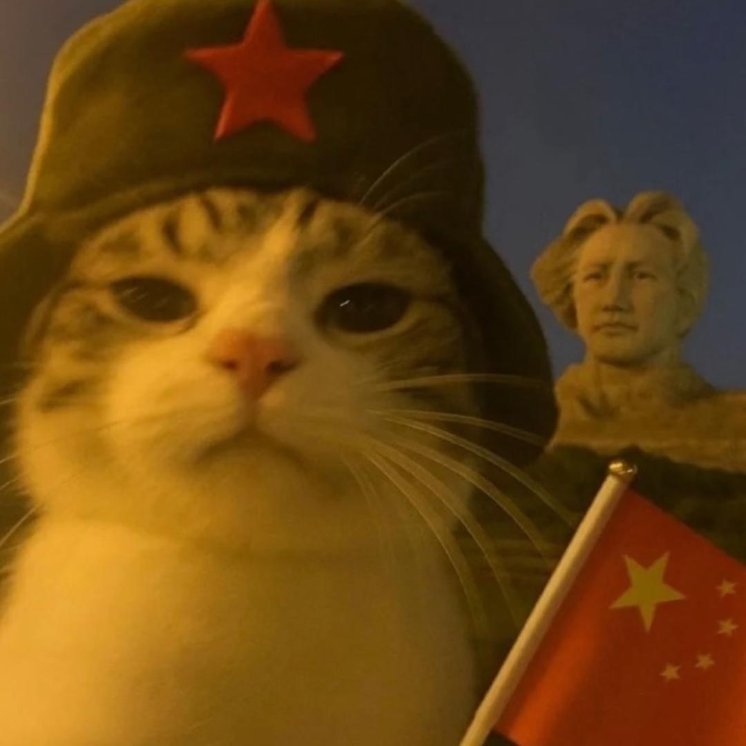 不可以吃十七斤盐