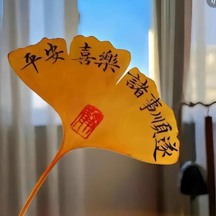 布丁小酱