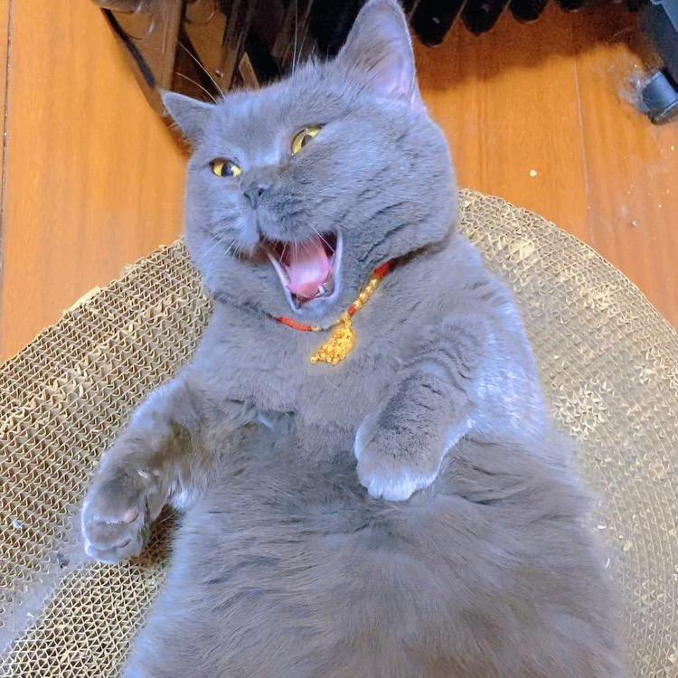 朱莉和爱莉🍓🍓