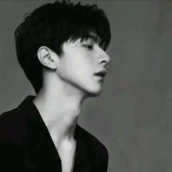 星辰（顶尖养猪流）