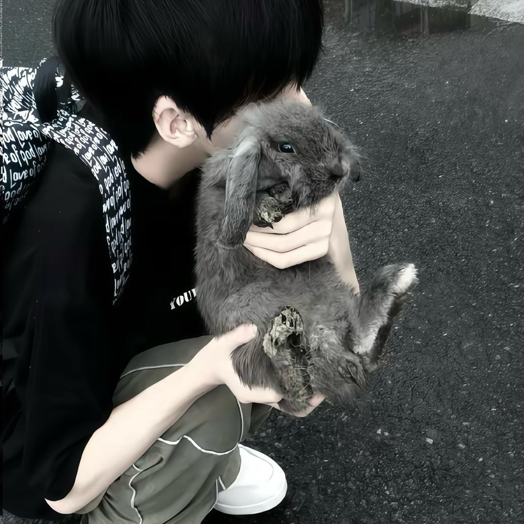 怪胶片