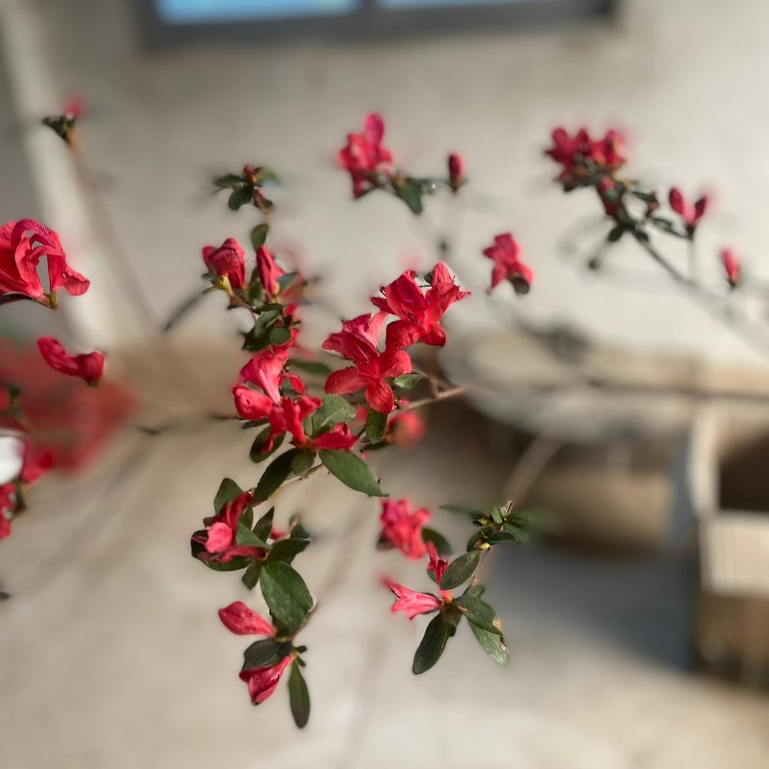 定制你的专属，💰