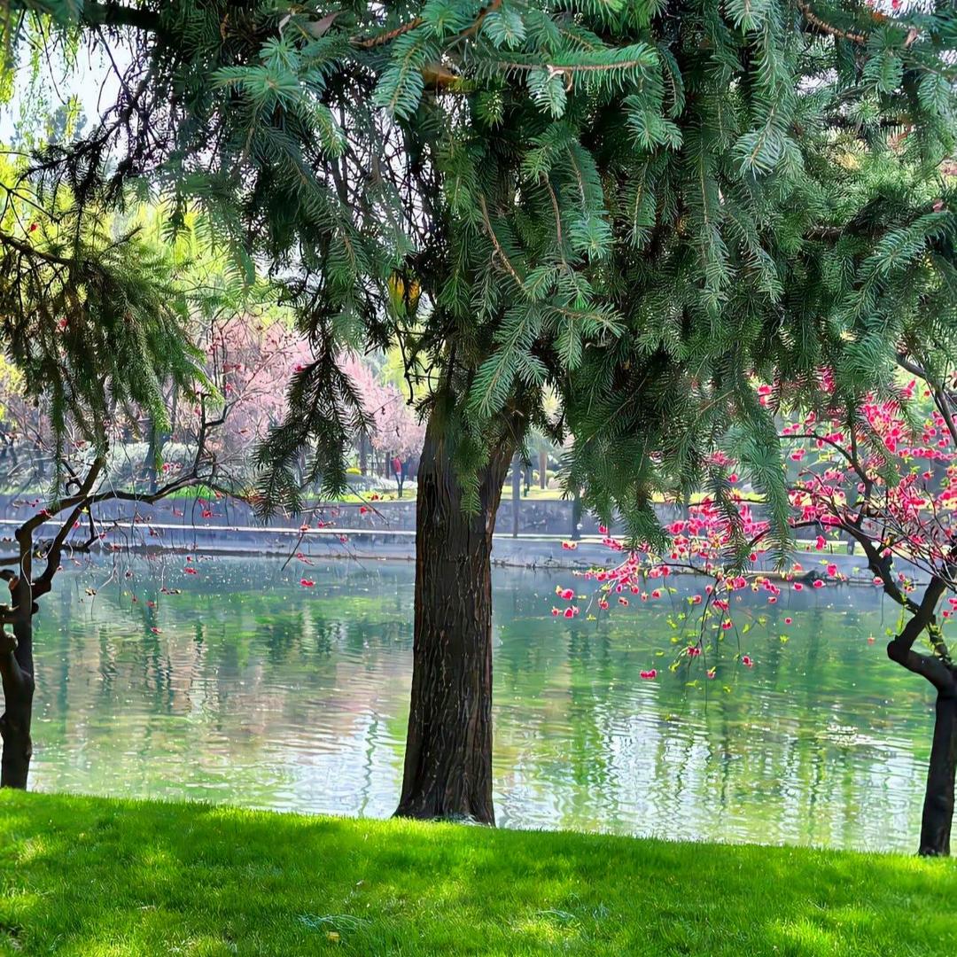宜昌近天邓楚潮玩好货店