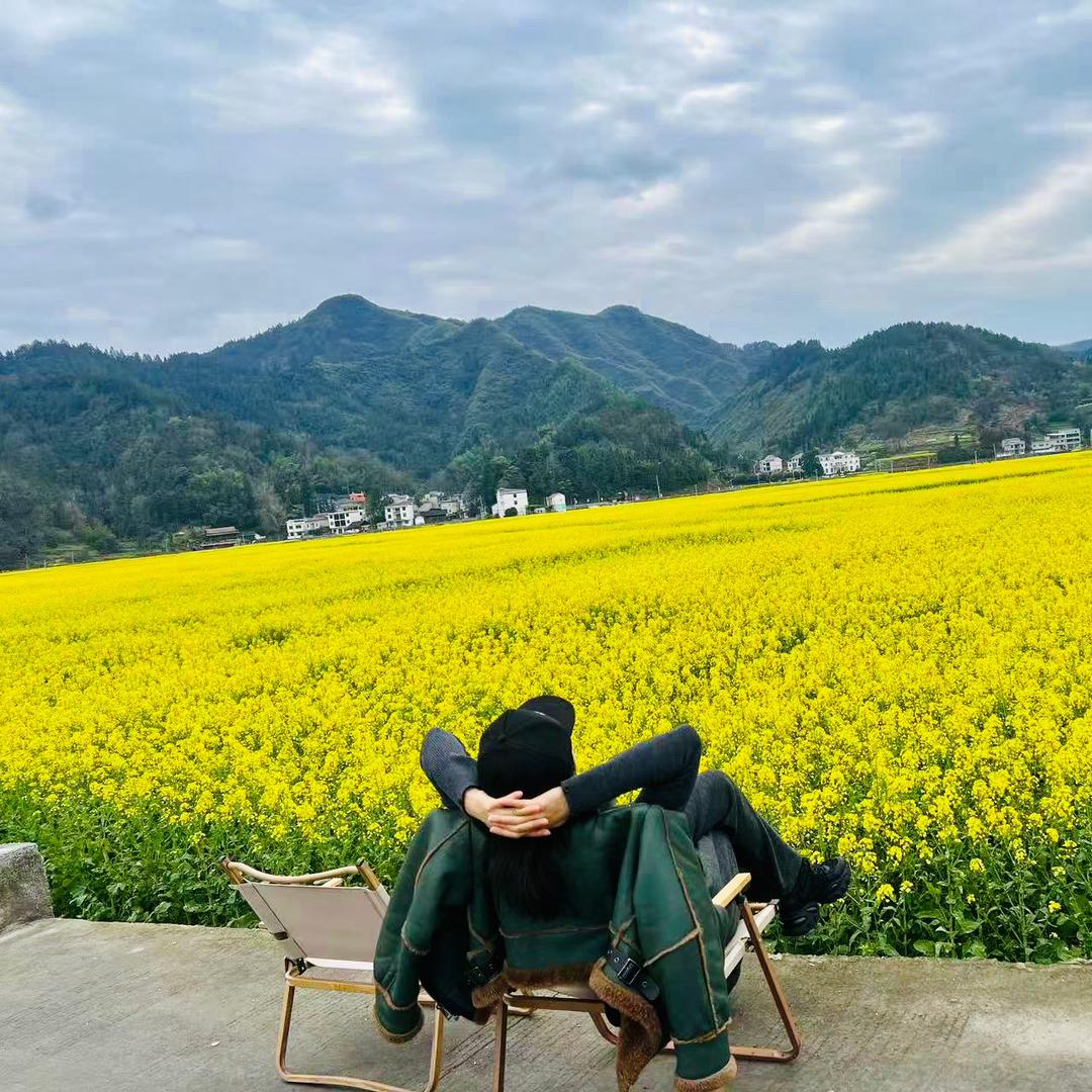 伍彩缤纷头像