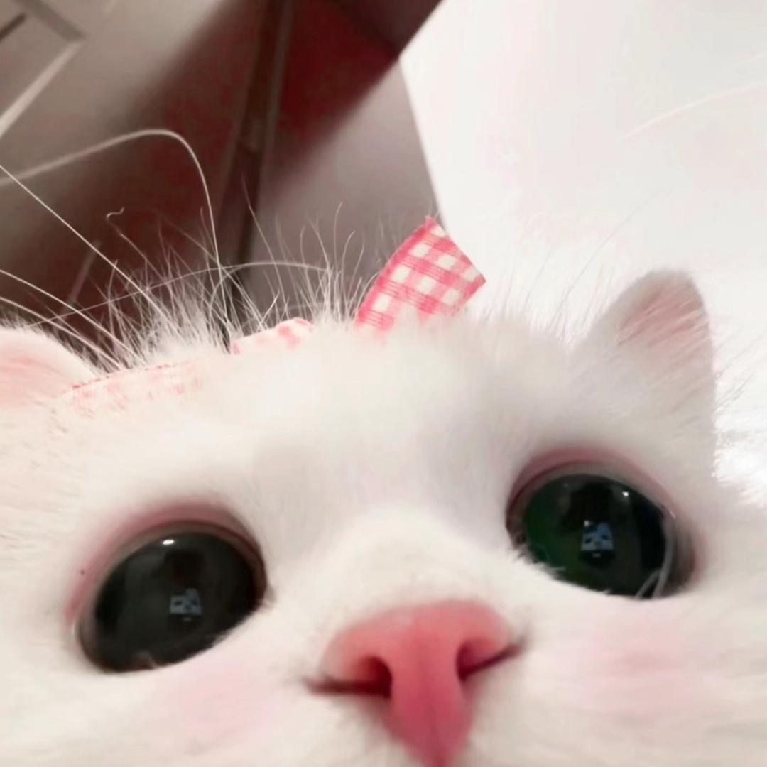 小甜泡芙