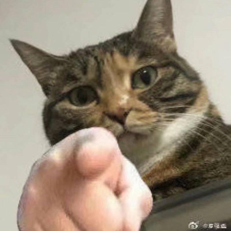 来杯可乐狗