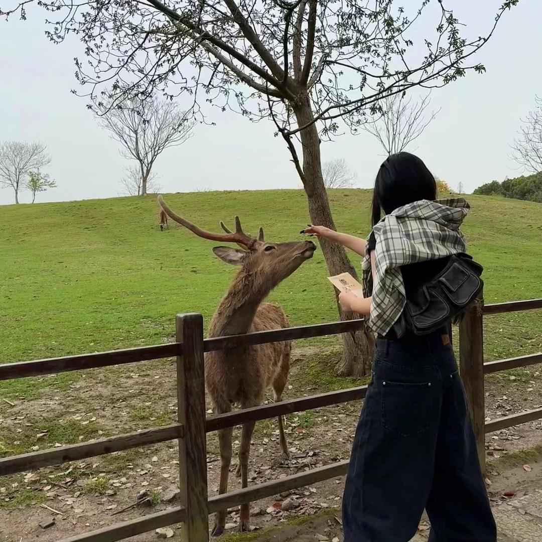 —AY