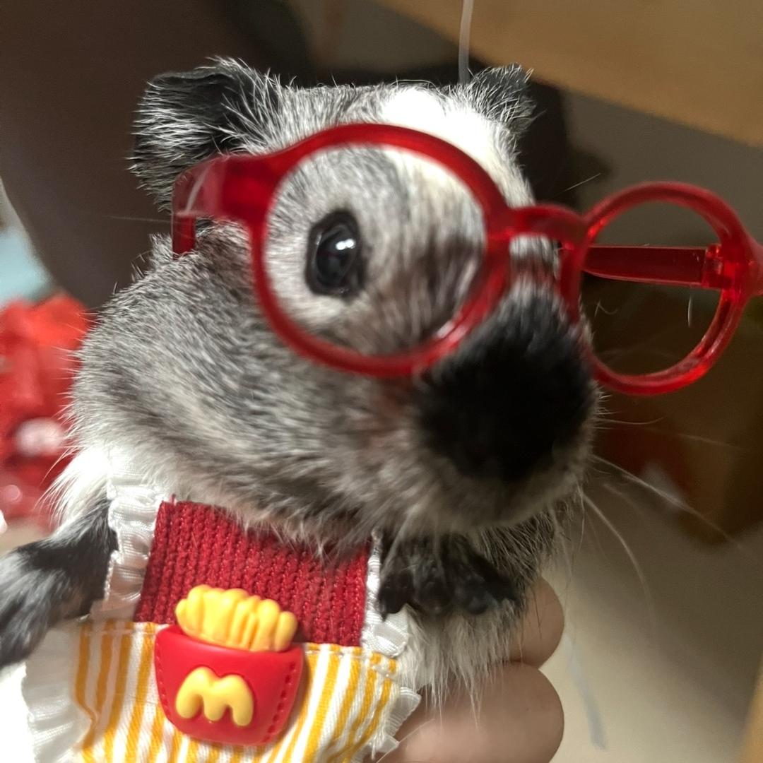 幺九九