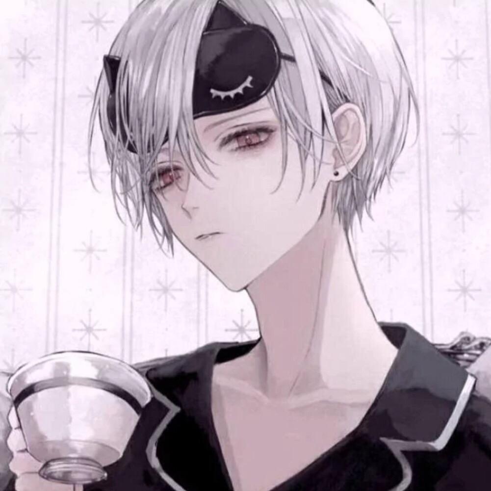 顿倍网络工作室