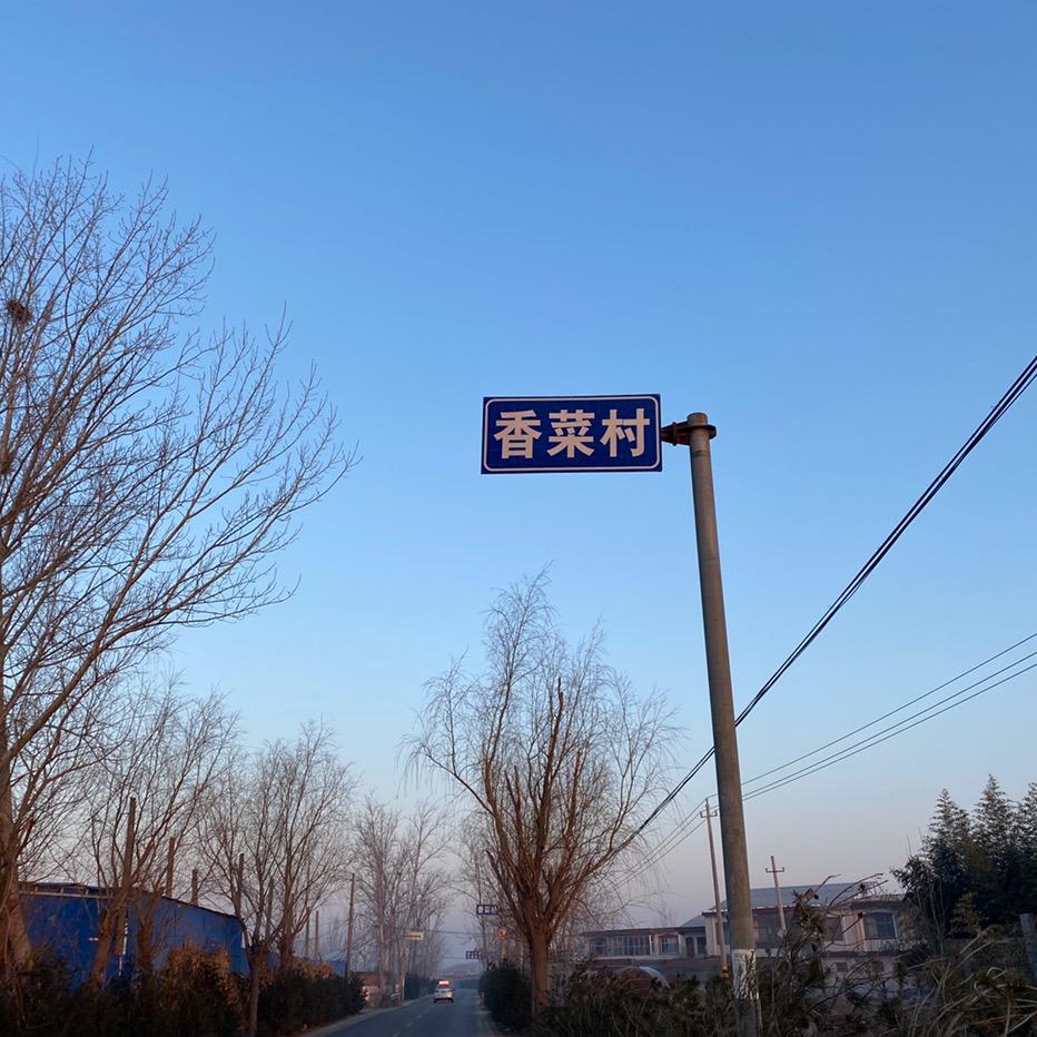 爱吃炒鸡蛋
