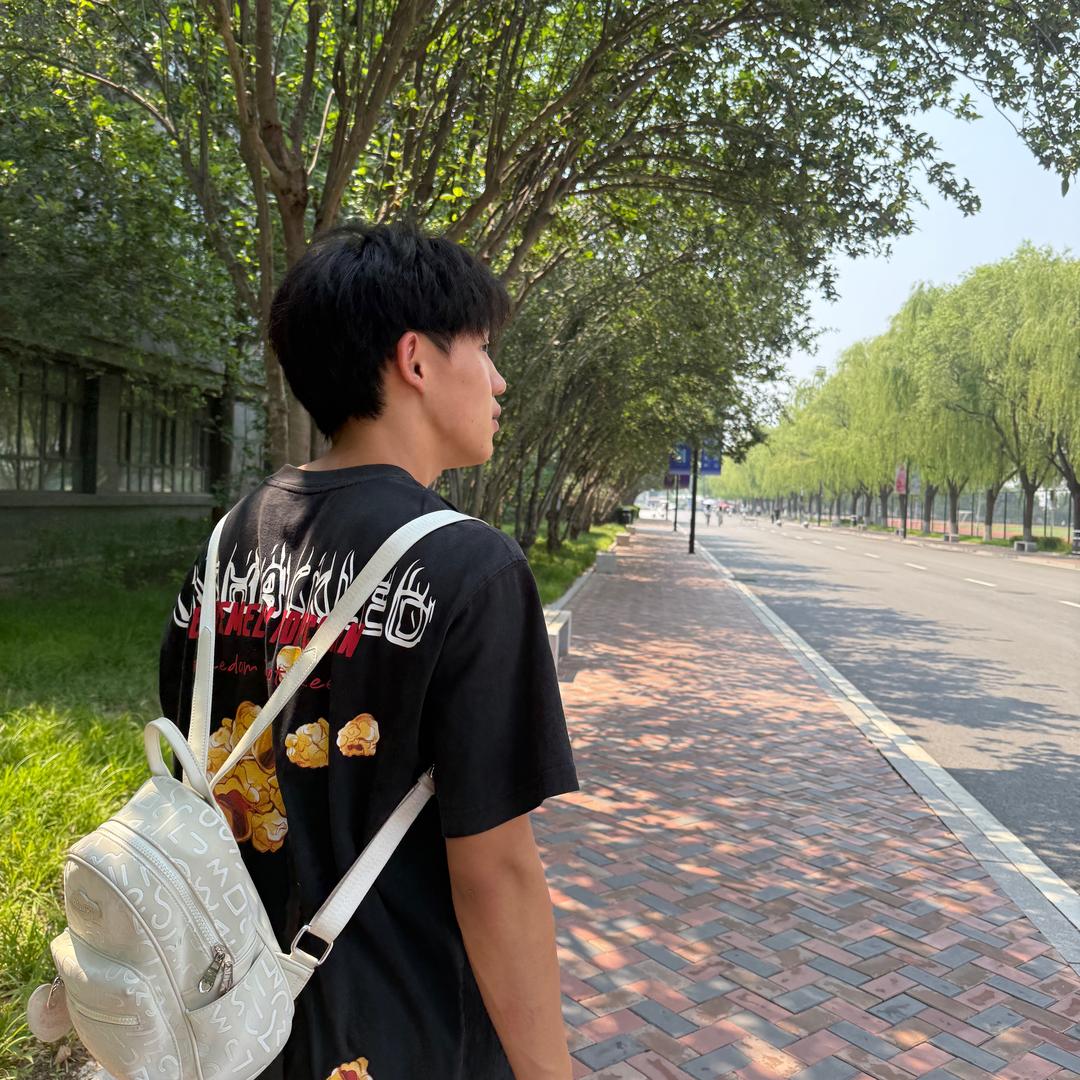 刘刘刘的卫.