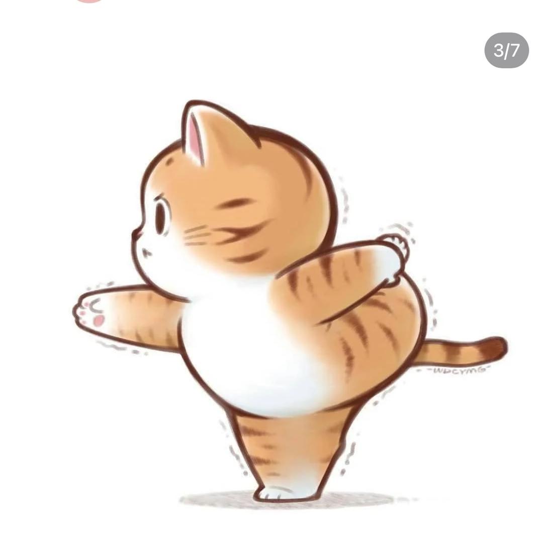 哆哆萌宠