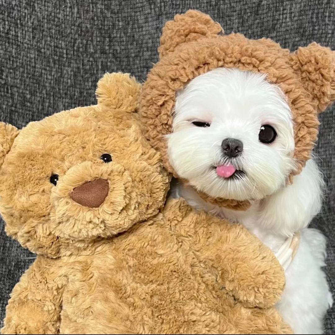 嗯哼