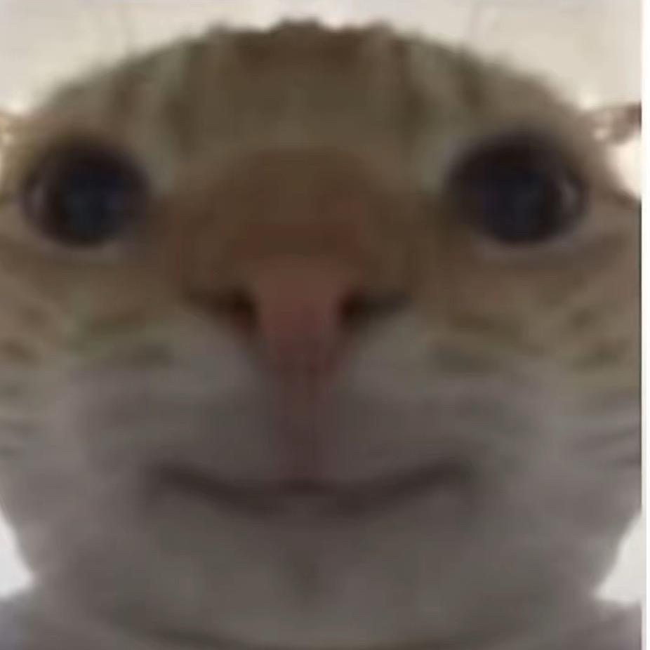 小小鼠