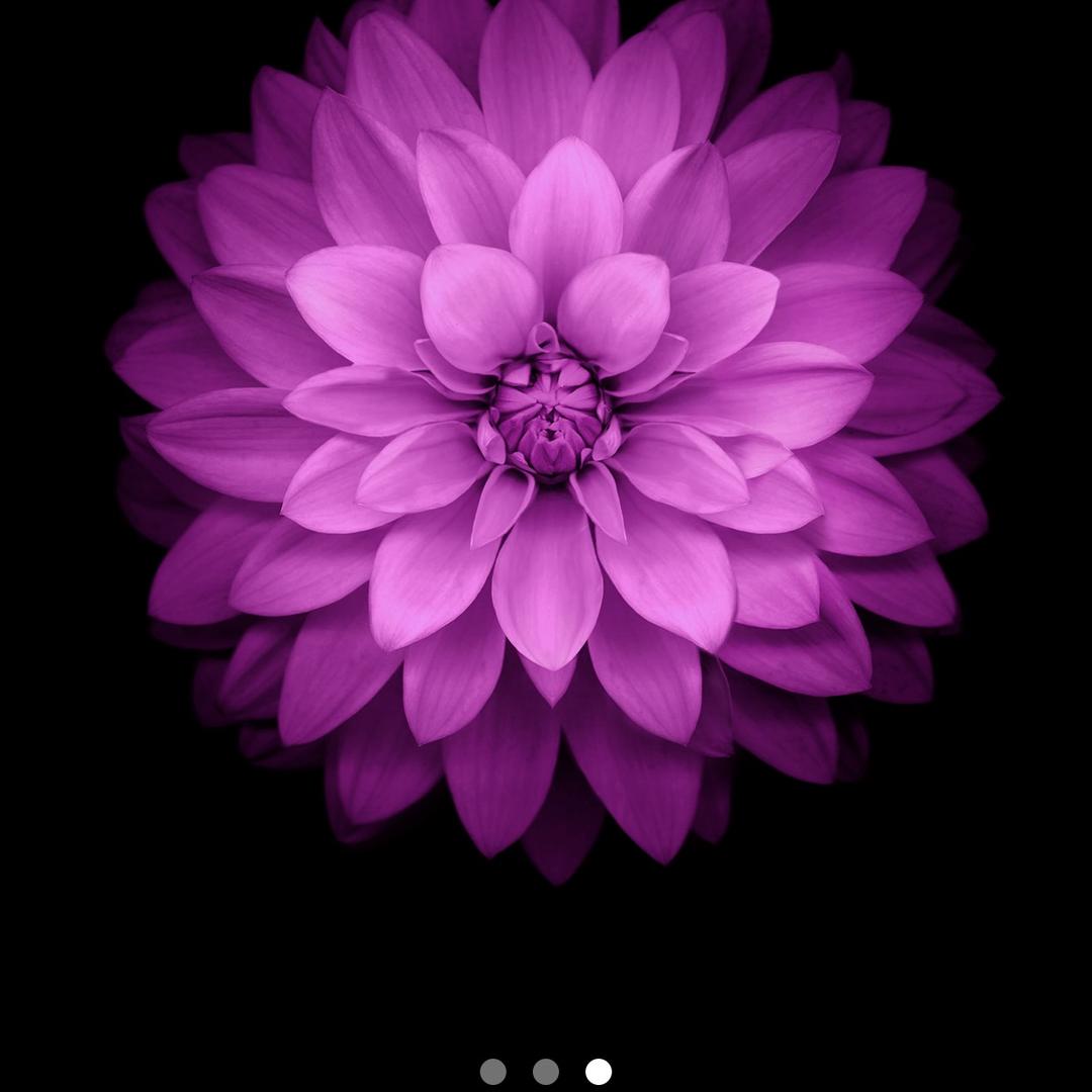 皓皓甄选生活坊